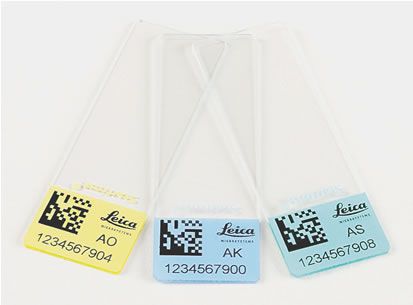 1592549883701151.jpg 001.jpg