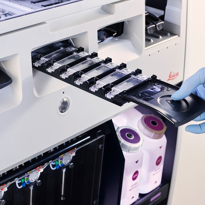 1598861479395475.jpg 1598861479395475.jpg